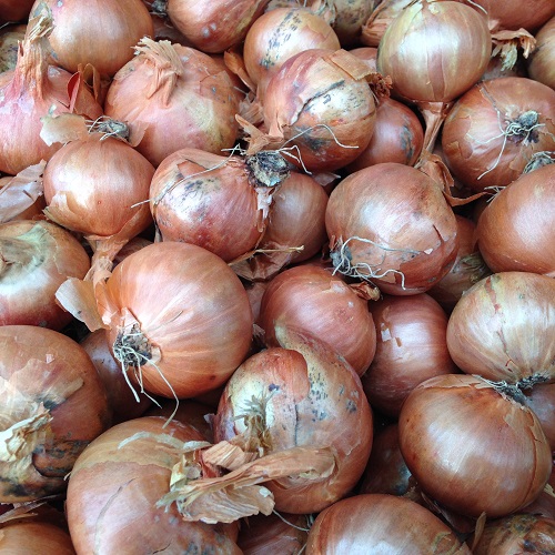 Shallot Sets Red Sun